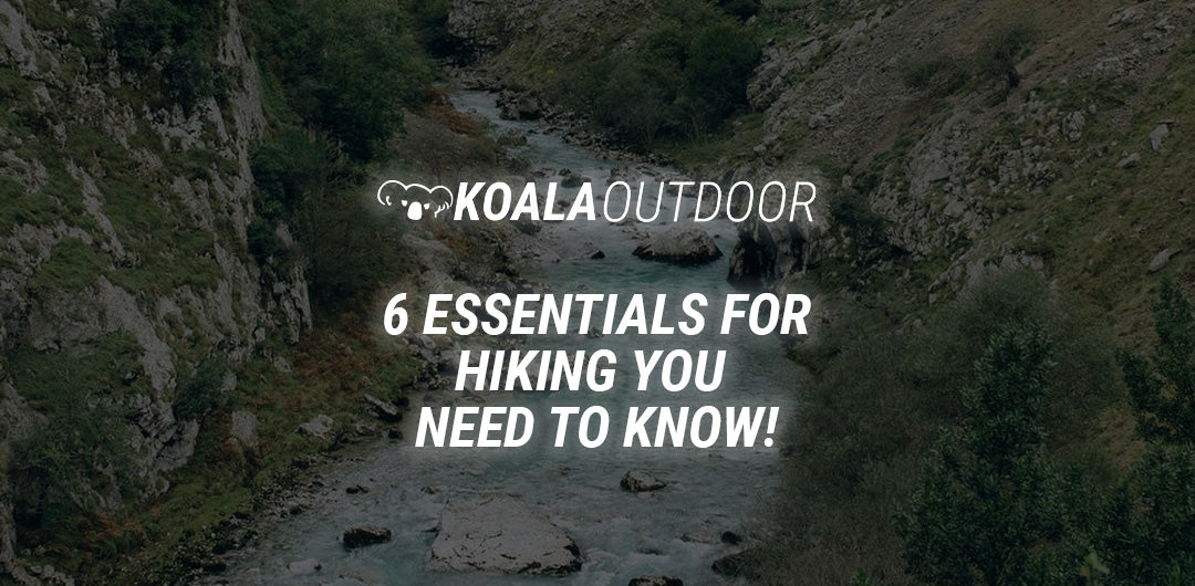 The 6 Essentials You Need To Know Before Going Hiking!