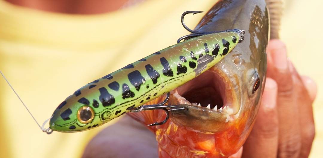 Trouble with lures : r/FishingAustralia