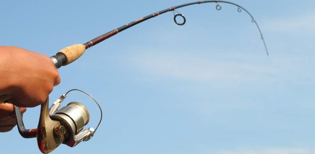 The Best Travel Fishing Rod And Reel