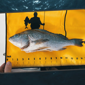 Bait Towel & Fish Ruler. Fish Measuring Board Fishing Towel. Quick Dry  Microfiber Towel with Clip.
